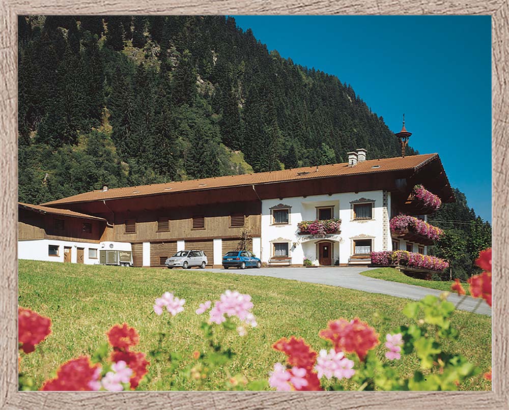 Hotel Almhof Danler Hotel in Neustift Stubaital Tirol 4-Sterne-Hotel